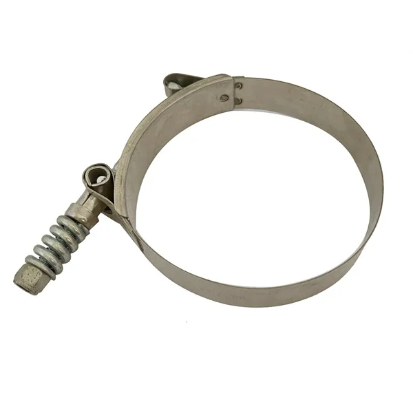 HDTXTH  304Auto Parts T Bolt with Spring Torque Compensating Clamp for Pipeline Connection19mm width*0.6mm thick