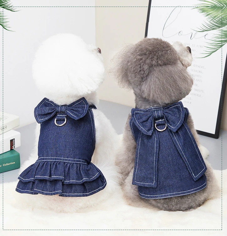 hmqViviiyNSAyin6WuaVt4VUy+MnkUEMDwzv