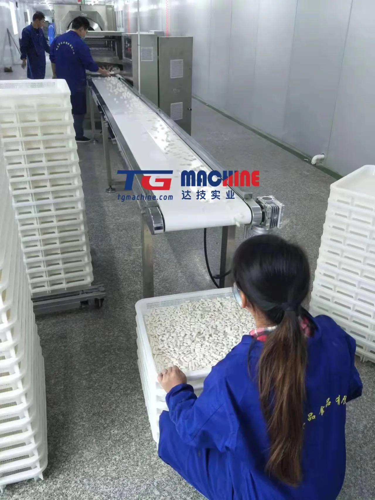 Premium Quality Chewing Gum and Bubble Gum Manufacturing Machine with High Efficiency