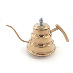 Southeast Asia Stainless Steel Water Kettle Goose Neck Kettle Coffee Kettle with Handle Tea Pot