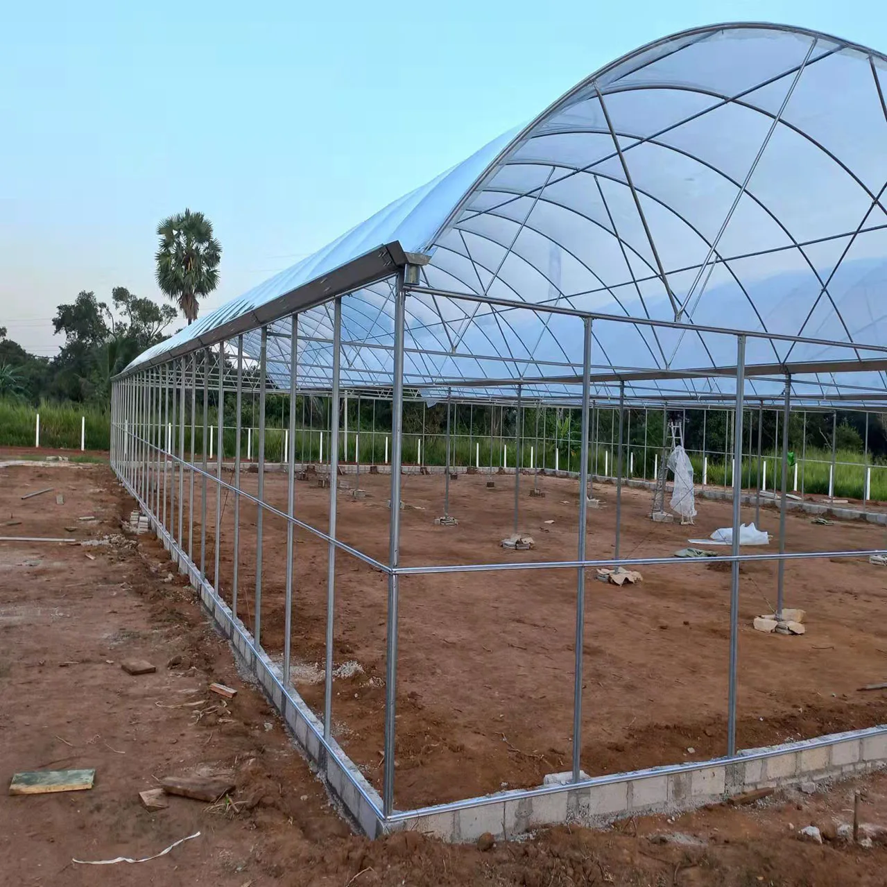 Customized Greenhouse China Factory Outlet Agricultural Greenhouses Multi-span Plastic Film Tunnel Hydroponic Green House