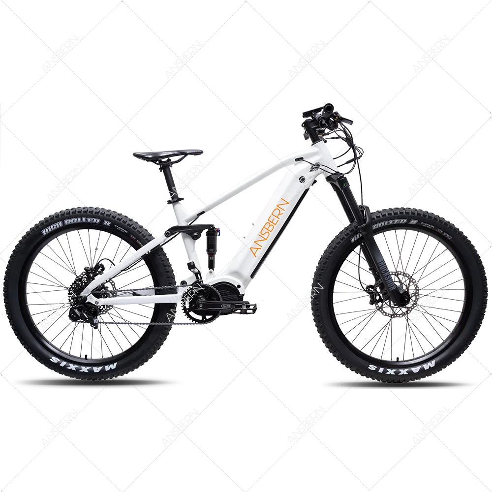 2022 Ansbern High Quality CE Approved Full Suspension Bafang Mid Drive 48V 1000W E Bike Mountain Electric Bicycle ASB-EB-34