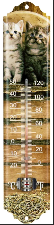 Garden Decorative glass Vertical Outdoor Glass Wall Thermometer