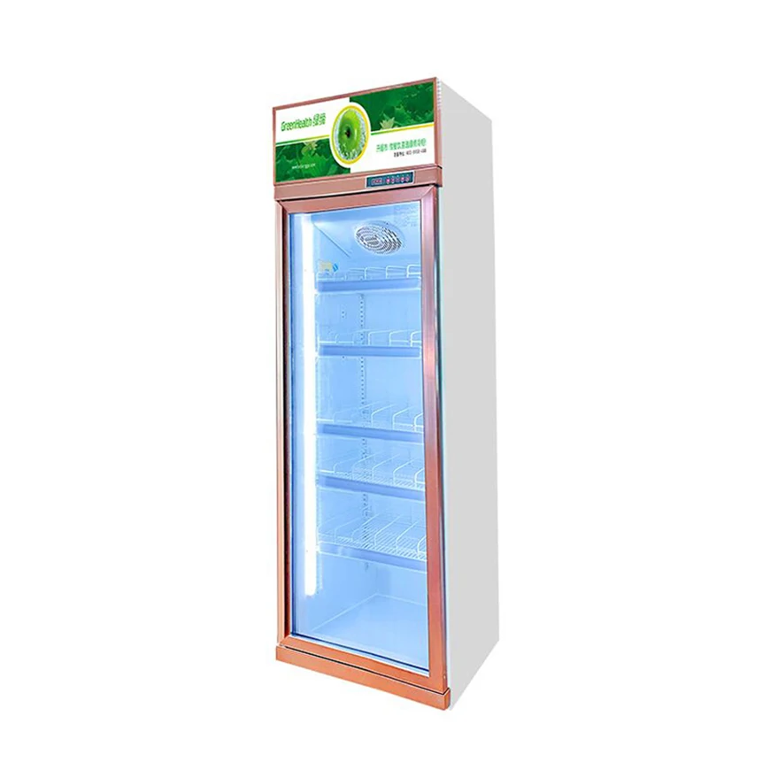 Free Frosted Supermarket Retail Shop Inverter Chiller Glass Door Refrigerator Drinks Display Fridge