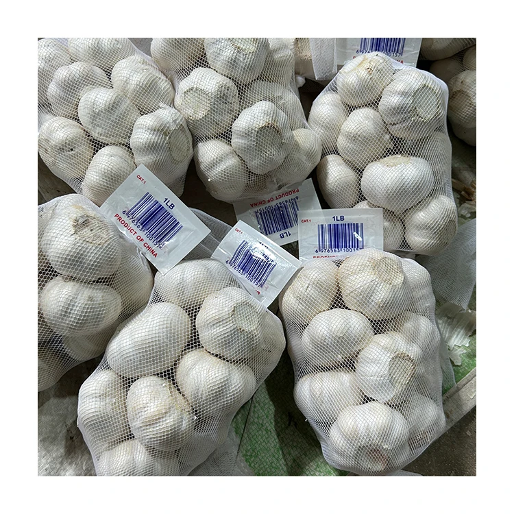 China Fresh Garlic Price Wholesale Price in Shandong Onion Garlic Seeds for Sale Normal White Imported Garlic Fresh