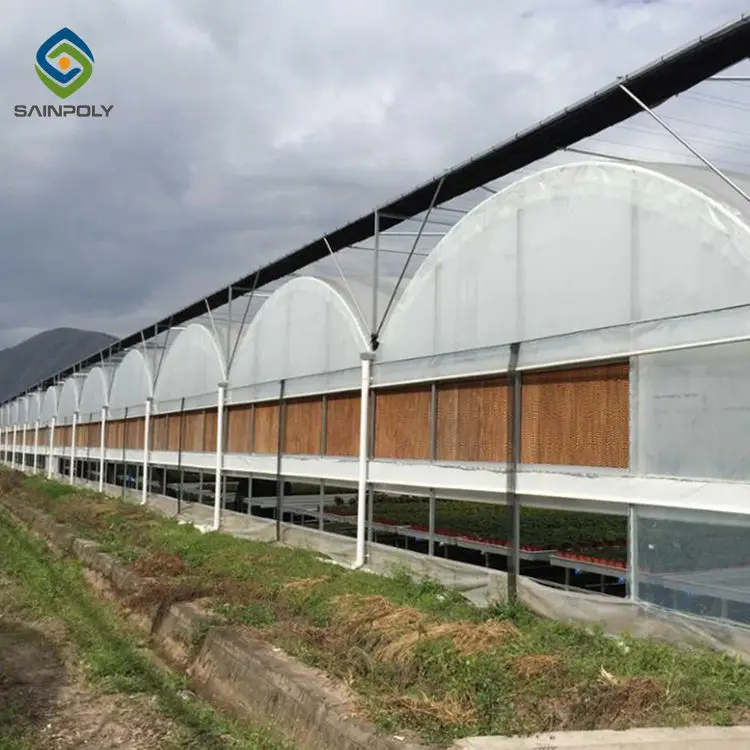 
Agriculture multi-span Invernadero arch plastic film greenhouses for sale 