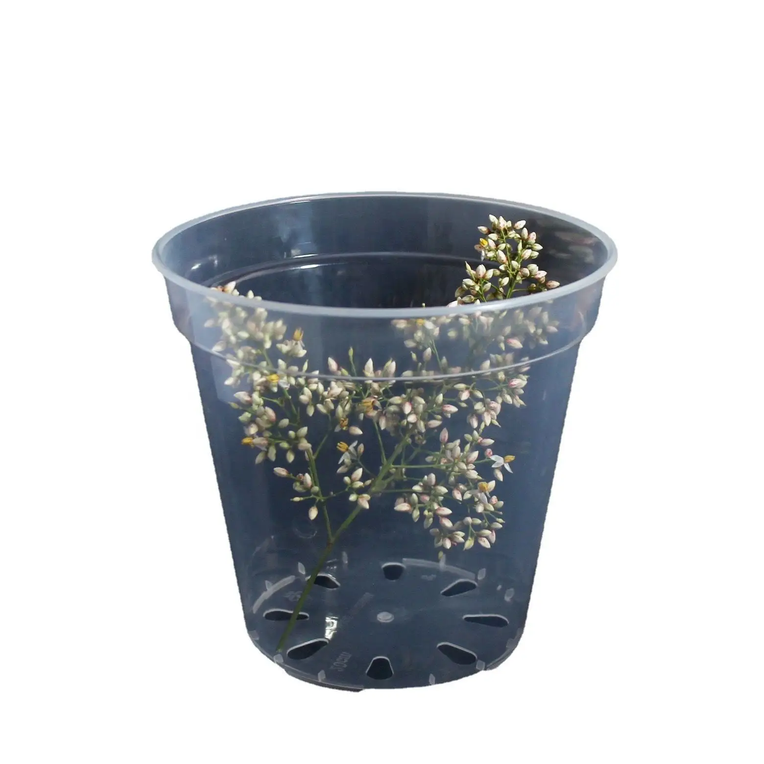 2.5/3/4/5/6/7/8/9/10 Inch Transparent Flower Pot PP Flower Pot for Orchid