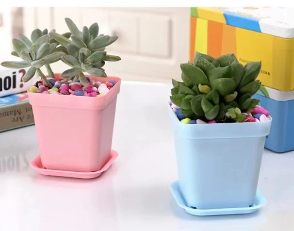 3 Inch Colorful Small Plastic Flower Pot Square Succulent Pot Seedling Nursery Pots with Saucers for Indoor Outdoor Plants