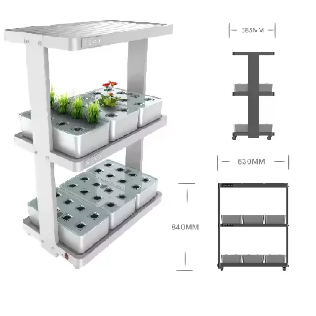 Kitchen Hydroponics Grow Kit Smart Garden Hydroponic With 2 Layers