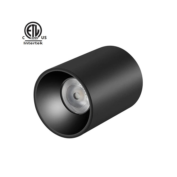 Master D IP65 series  ETL CE SAA UKCA  surface mounted ceiling lights for balcony bathroom