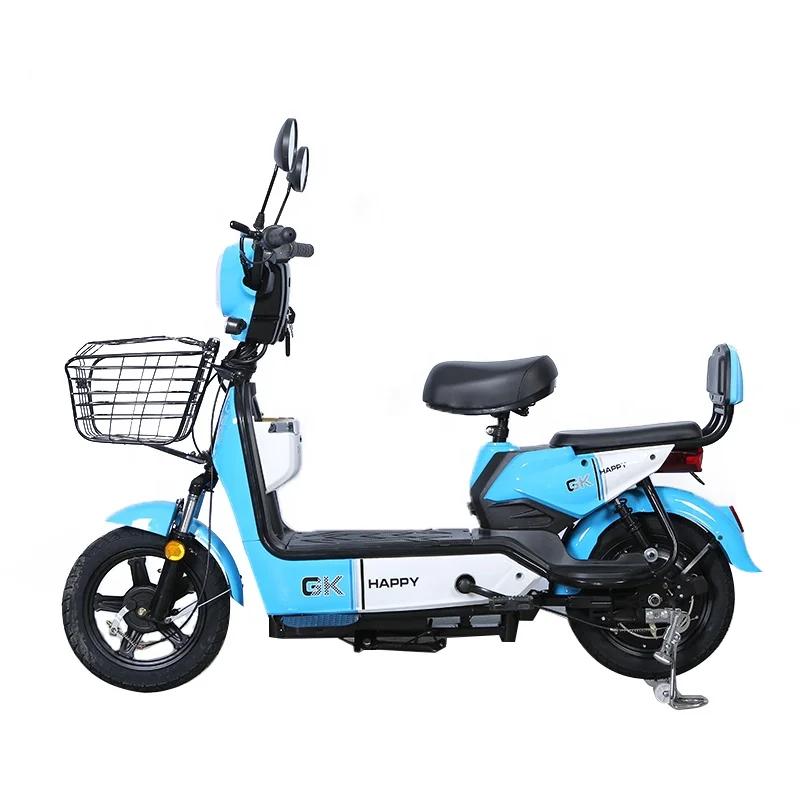 Popular Ebike Brazil Vietnam Finland Electric Power Bikes Machine Wholesale 200 kg Load Strong Electric Bicycle for Men Women