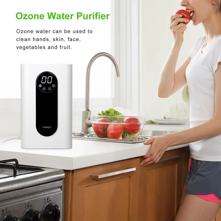 Home 500mg/h O3 Ozone Generator Air Purifier Water Food Sterilizer Kitchen Vegetable Fruit Washers Deodorization Machine