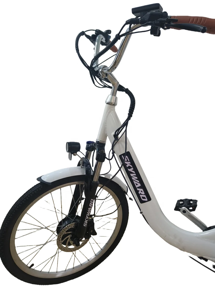 Best Selling 3-Wheel Family Electric Cargo Bike 350W Motor Powered with 48V Lithium Battery  Carrier Position