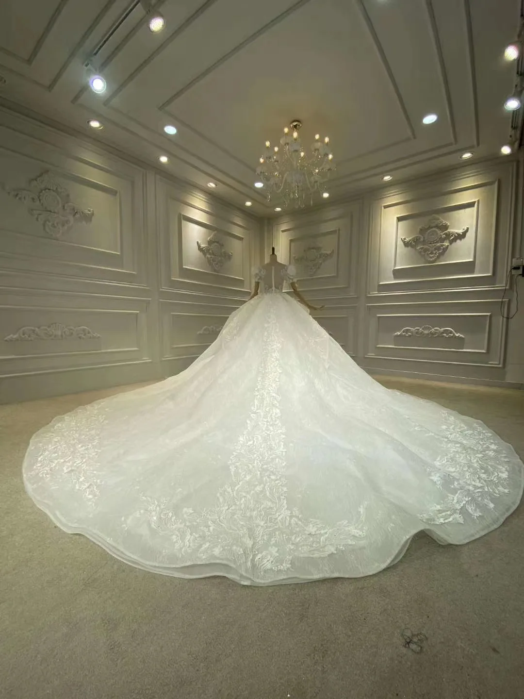 Half Sleeve Boat Neck Ball Gown Classic Lace Embroidery Fairy Mesh Embroidered Wedding Dress Wedding Princess Dress