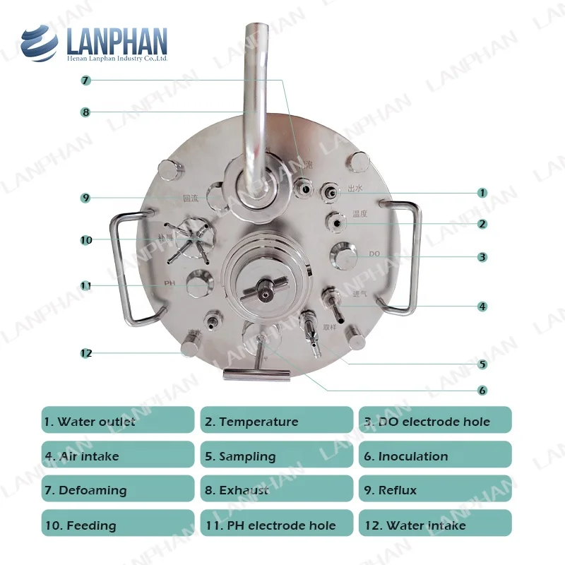 Small Glass Lab Scale Bacteria E.coli Bioreactor Jacketed Fermenter