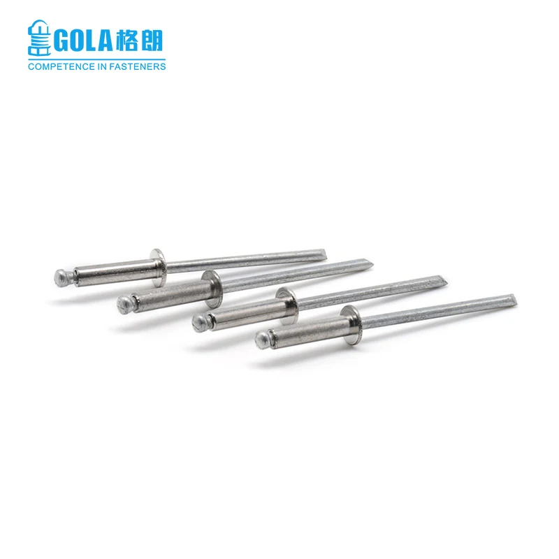 Rivets Stainless Steel 304 316 waterproof dome head open blind rivets