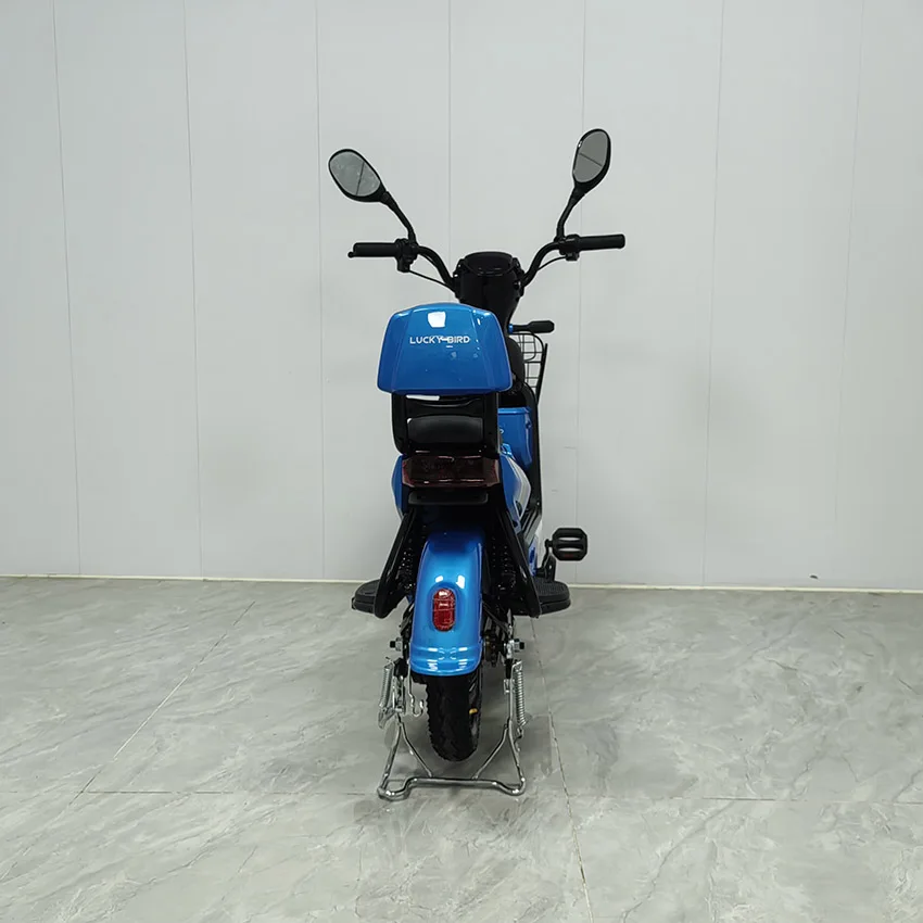Factory hot sale with rear trunk can put things in the electric bike blue bike can be two adult electric bike