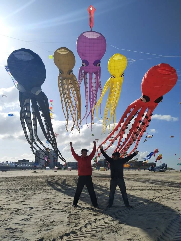 Professional kitesurfing  octopus kite