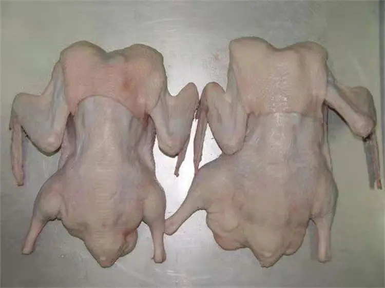 Цельная утка без головы и шеи под