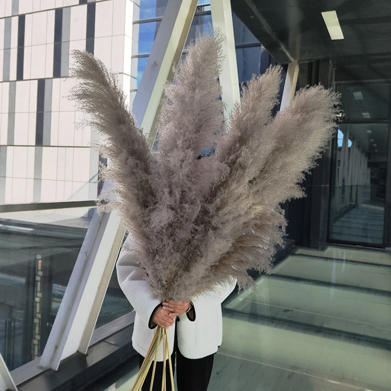 Wholesale High Fluffy Pampas Grass wall christmas tree white/pink Pampas Reed Grass dried flower Wedding Decorations Boho Decor