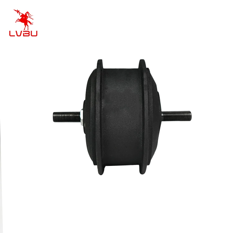 Hot Selling Lvbu ebike hub motor 36v 12v dc electric rear wheel hub motor for bicycle