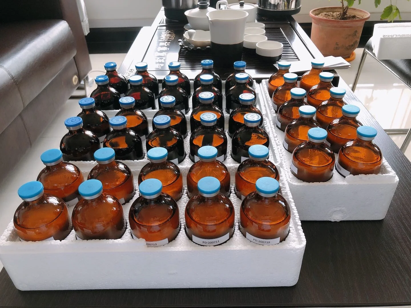 
Soocom Pigeon Antibiotic Florfenicol Veterinary Respiratory Injection 30% 