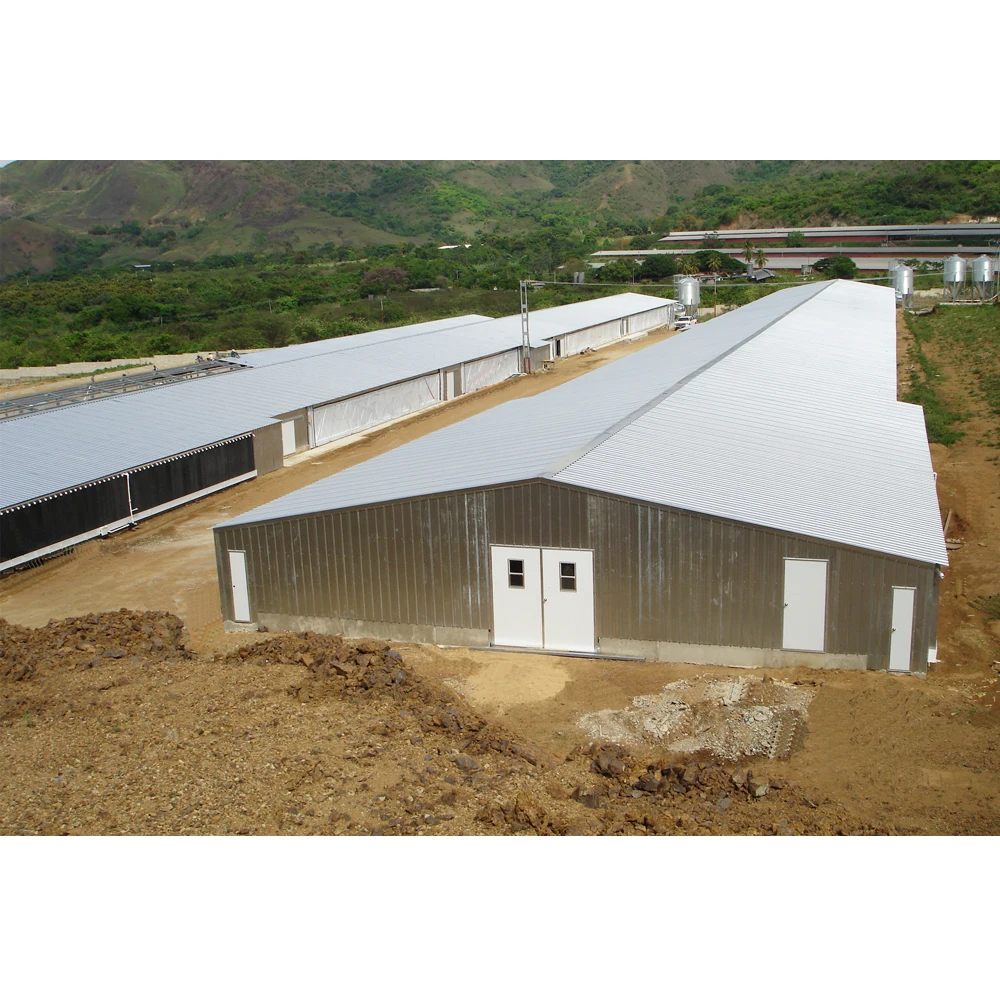 Batiment de ferme poulet/ангар для