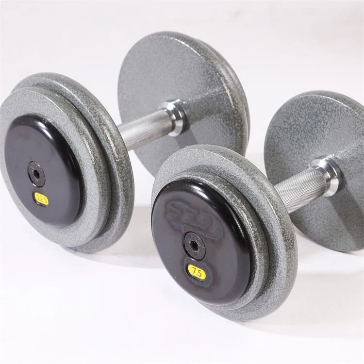 Hot Sales Commercial Gym Equipment Free Weights Steel Cast Iron Dumbbells