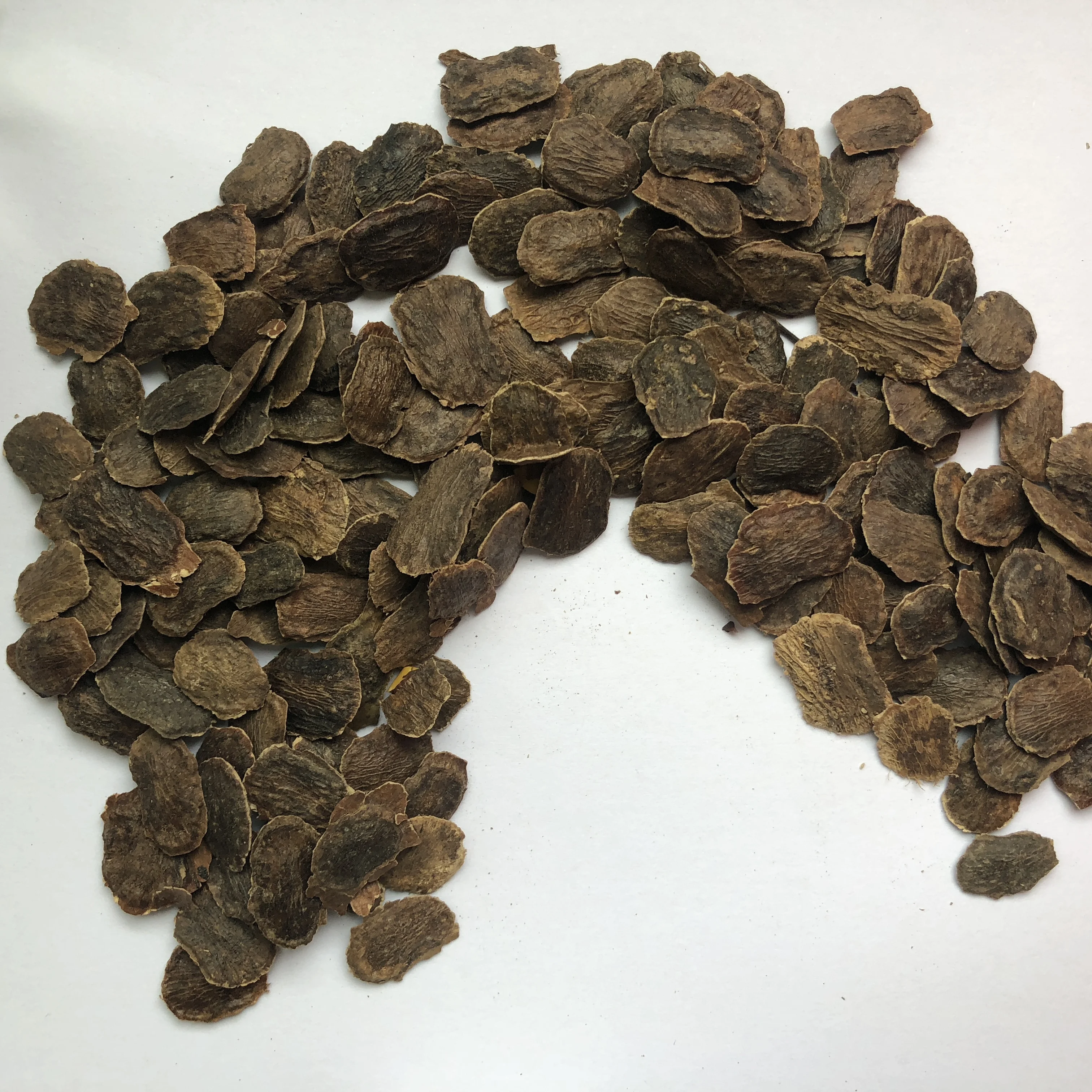 
S345 Supply Hai Nan Dalbergia Odorifera Seeds For Planting 