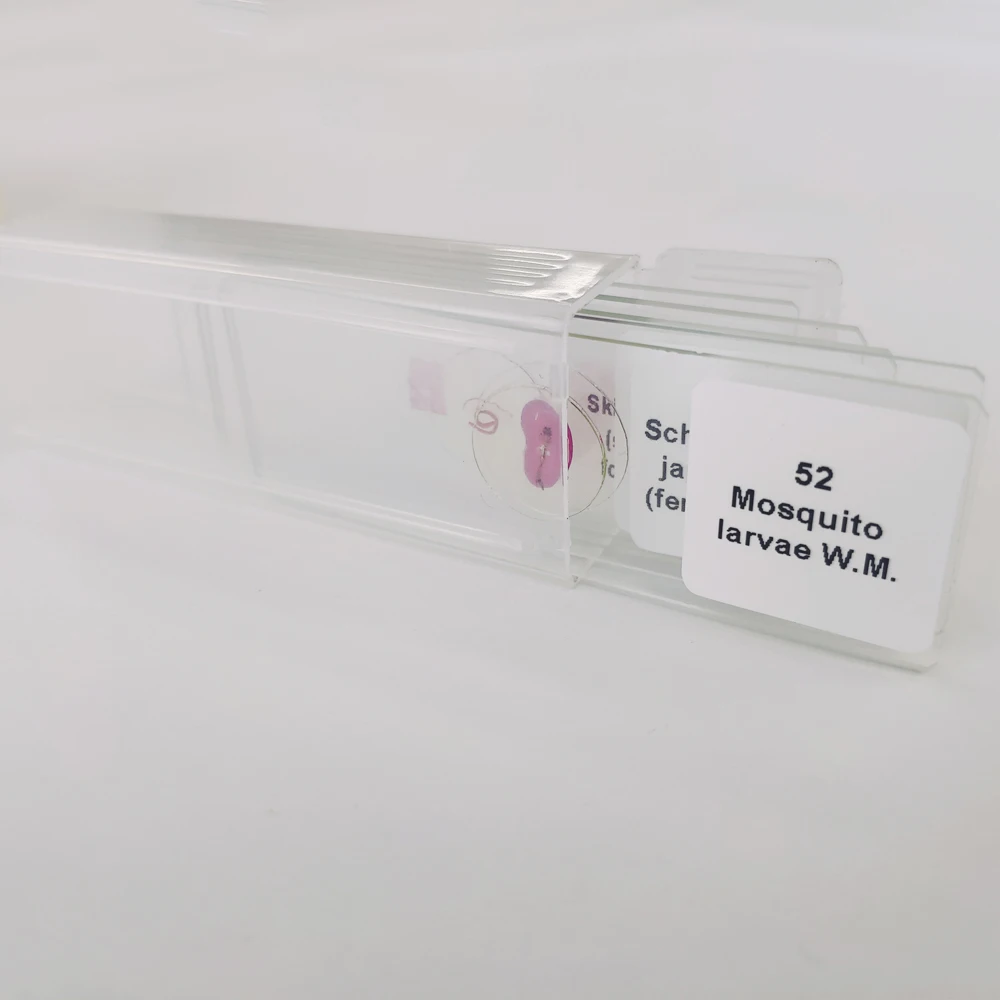 pathological parasitic microscope slide set for medical education research