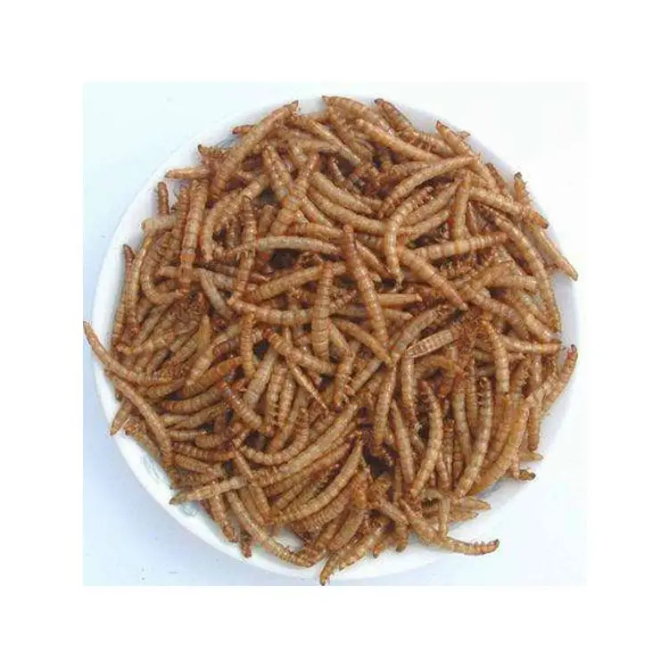 Large capacity high nutrition high protein dry yellow mealworm