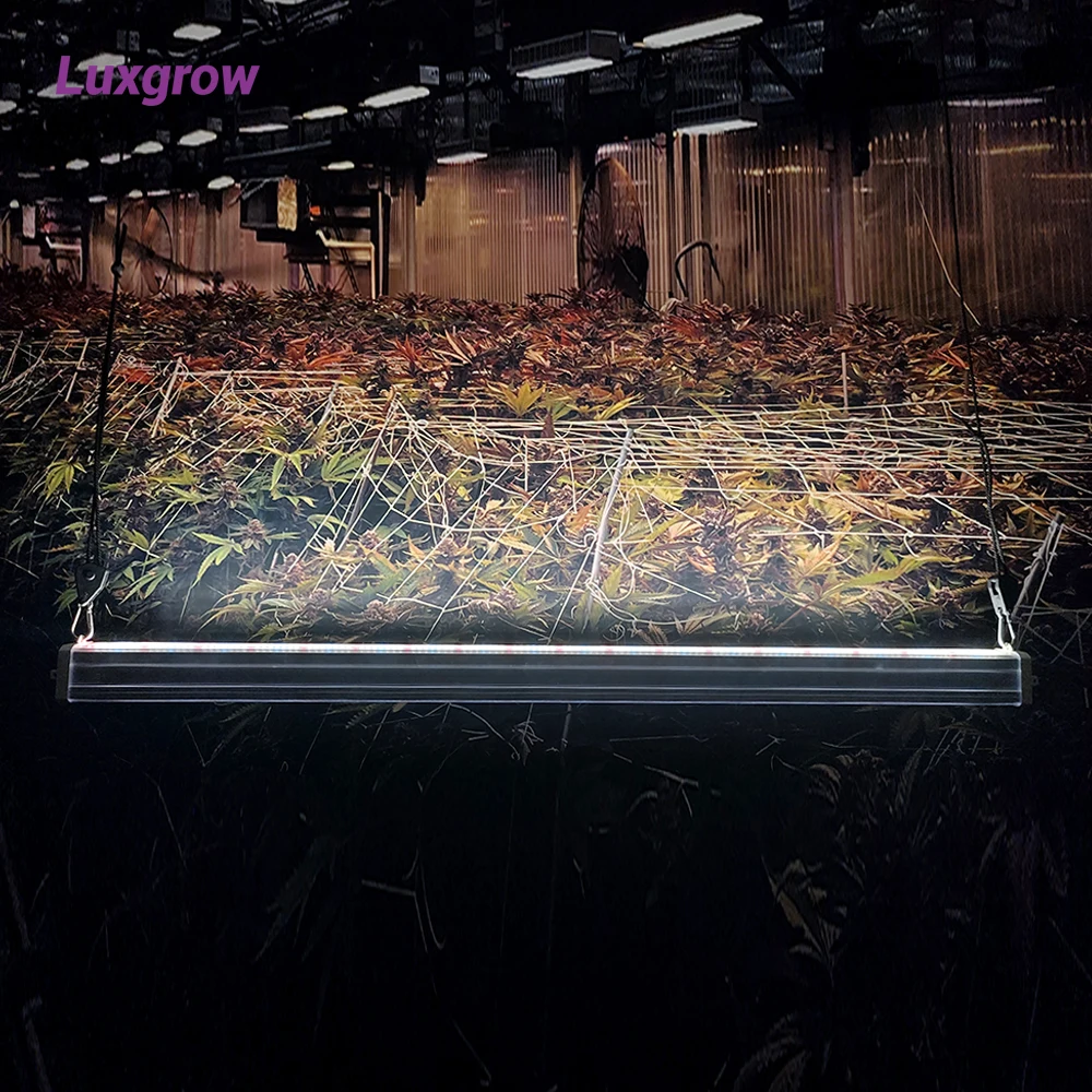 Leaf Strip Grow Light Hydroponic Double Side Lighting Waterproof Full Spectrum 120w 240 watt Underground LED Grow Light