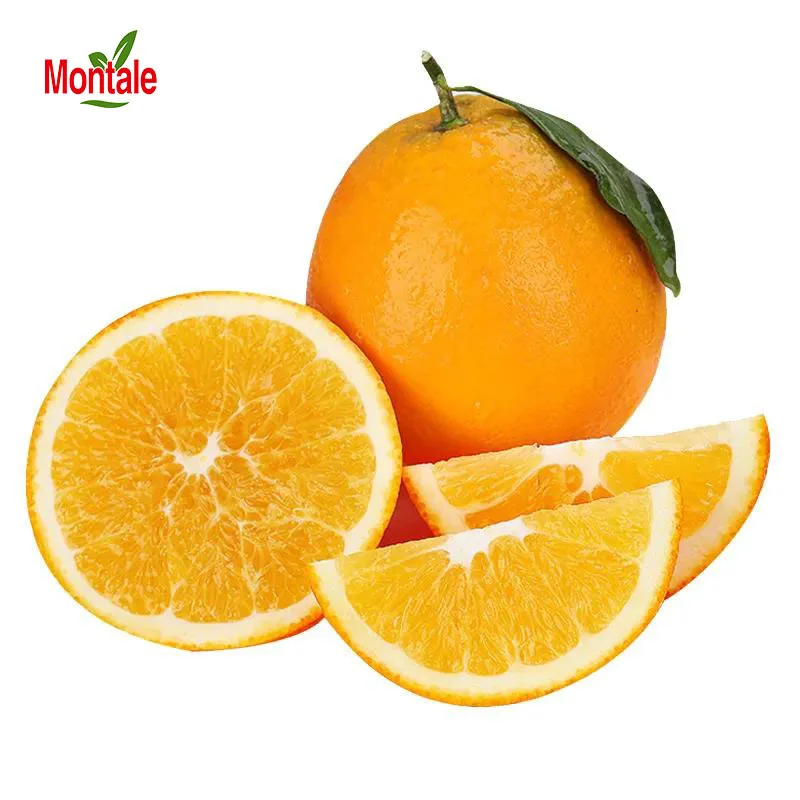 fresh orange valencia newest crop picked navel orange newhall orange