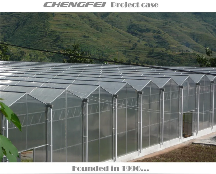Plant Cultivation Commercial  Blackout Light Dep Multi-span Venlo hemp Blackout Greenhouse For Plants Culti