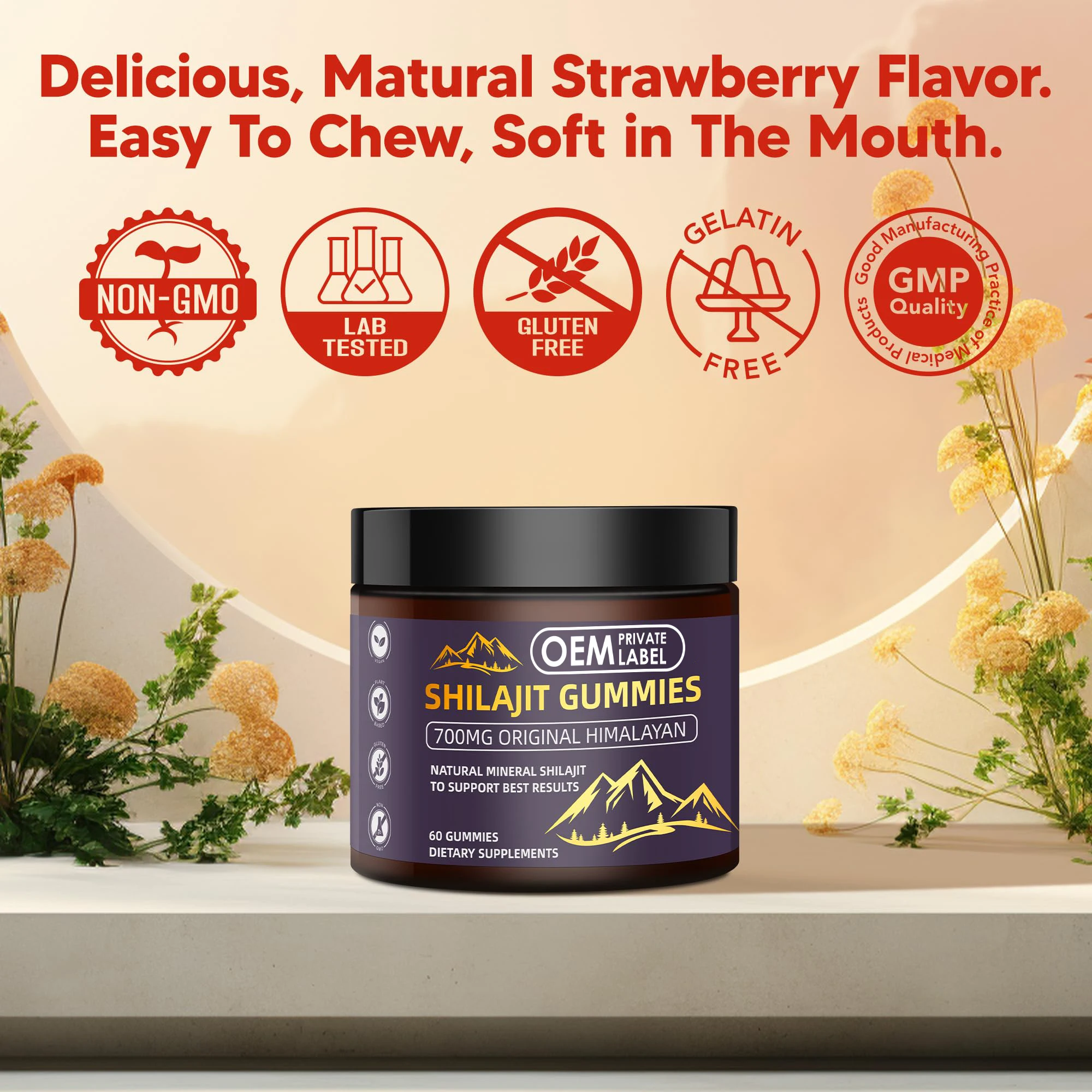 OEM Organic Pure Shilajit Resin Extract Gummies Himalayan Shilajit Vitamins Brain Supplement Nootropic Gummy