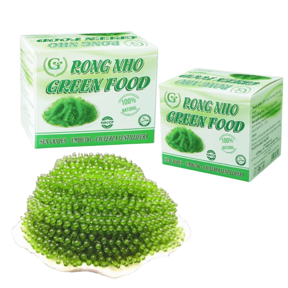 High Nutritious Vegan Sea Grapes Meal Haccp Certified Dried Nori Style Hot Selling from Vietnam in Carton Box Packaging