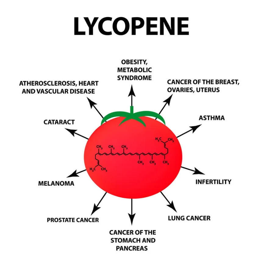 Premium Quality Amazing 100% Reishi Private Label Reishi Mushroom Lycopene Capsules Health Care Product Herbal Supplements