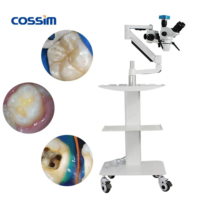 1.95X~130X Dental Operating Microscope, Surgical Microscope Dental Microscope Prices with Camera