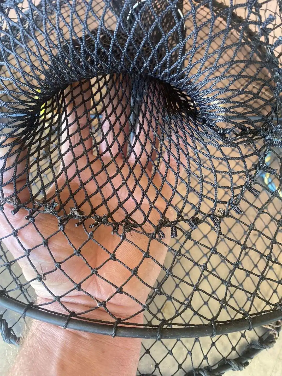 Multi-color metal skeleton durable spring cage  poisson user popular fish cage for fish farming opera house net trap