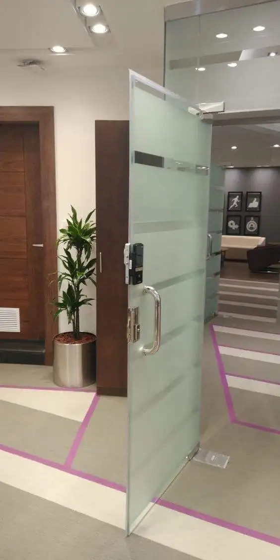 Glass Door Hydraulic Frameless Glass Hardware Floor Spring Frameless Glass Electric