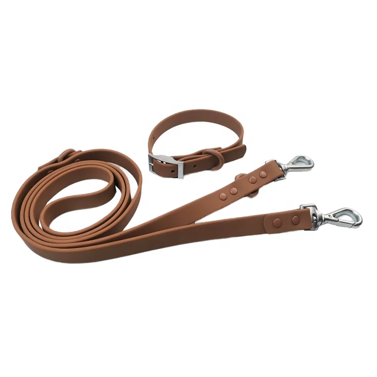 dog collar and leash (1).png