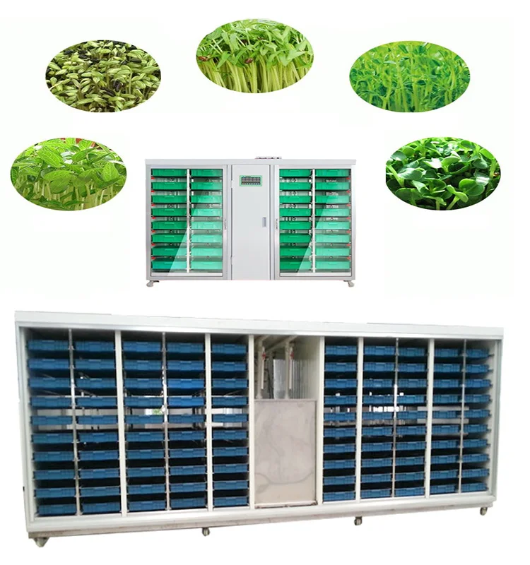 Automatic barley fodder growing systems cultivation of hydroponic forage grasses hydroponic grass wikipedia