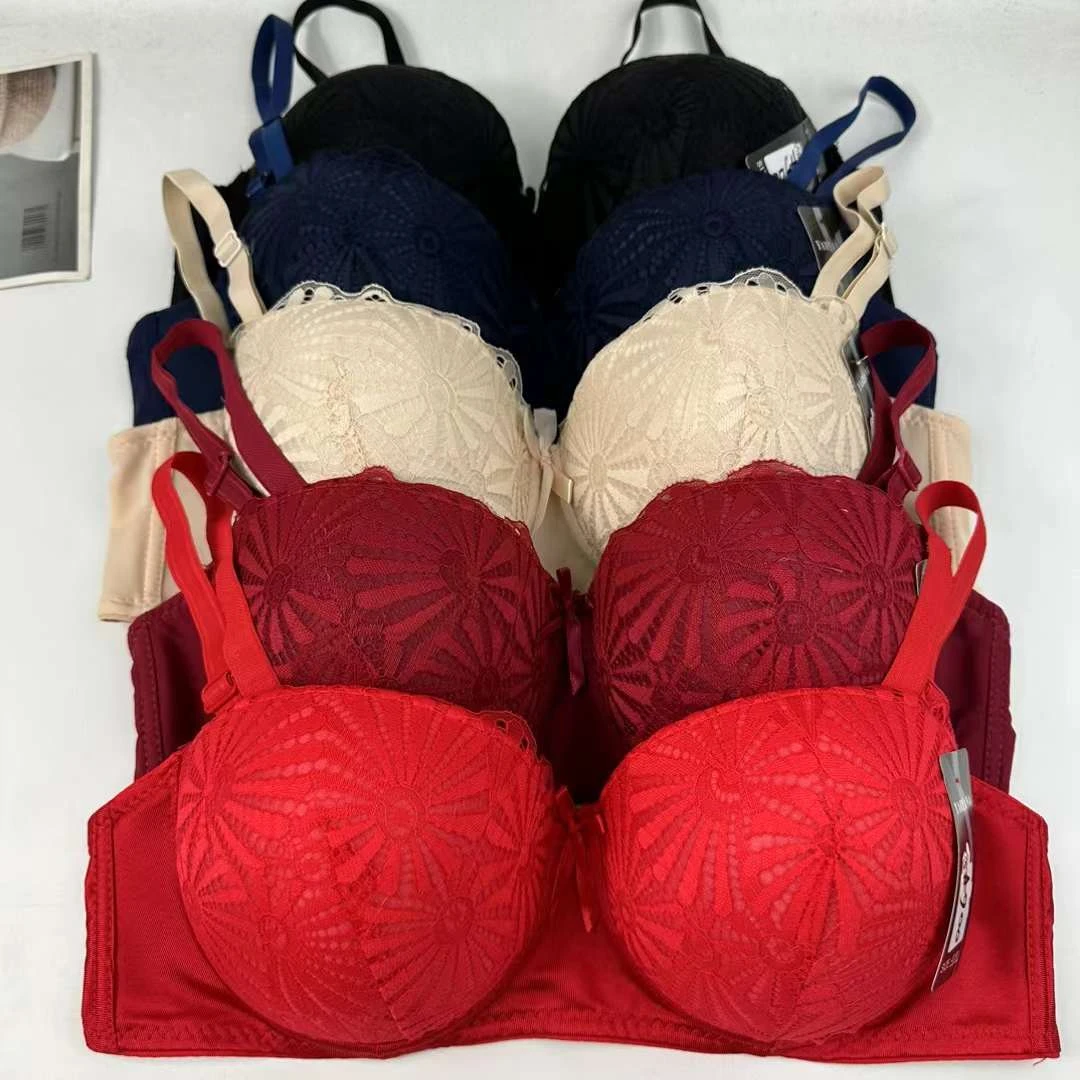 Factory Price Daily Comfort Push Up Bra Beautiful Lace Embroidery High Quality Bra For Women