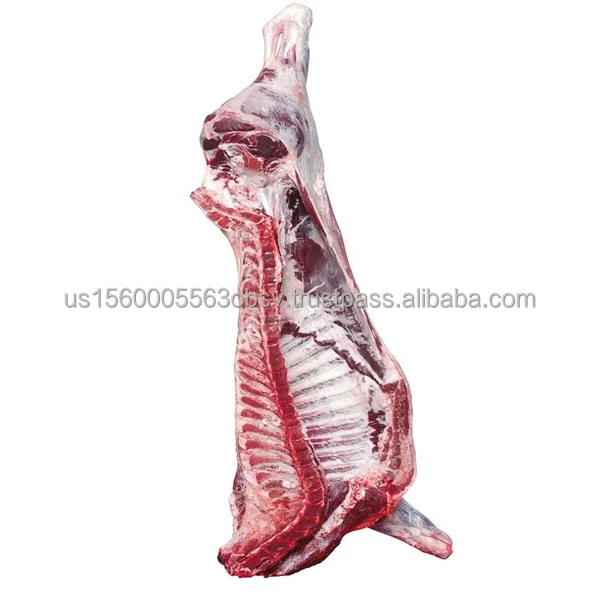 Frozen beef carcass wholesale prices Best beef carcass prices