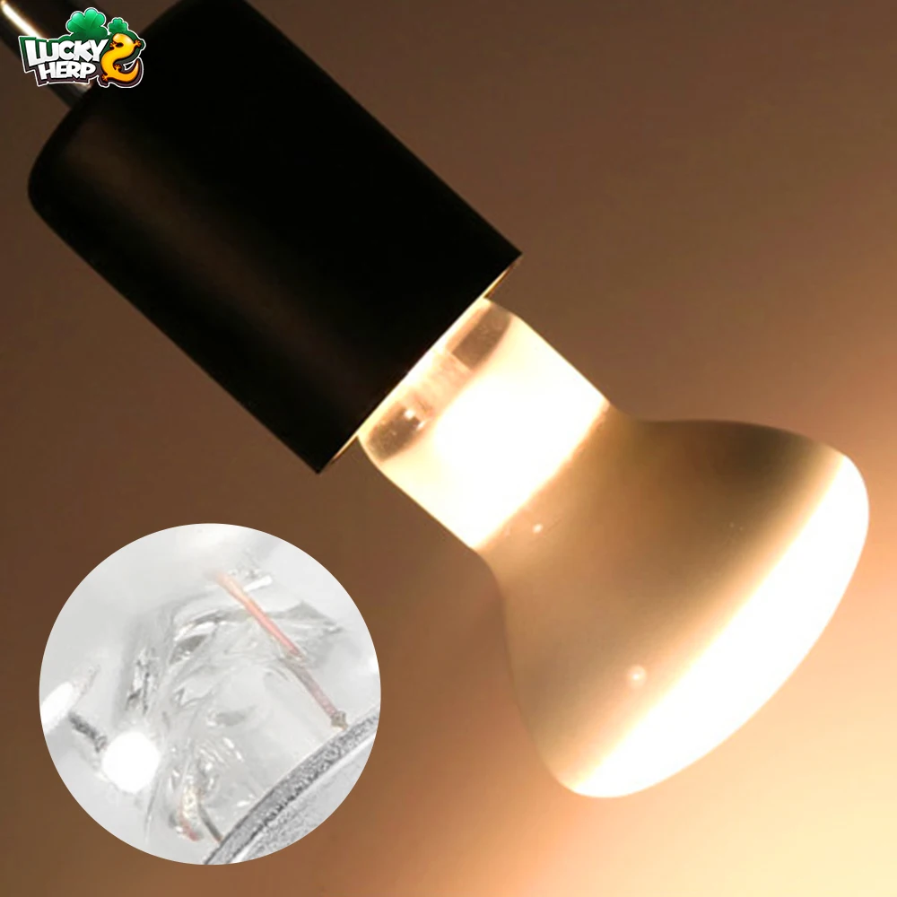 Lucky herp Factory price 25w 50w 75w 100w basking bulb heating lamp for reptile with CE ROHS