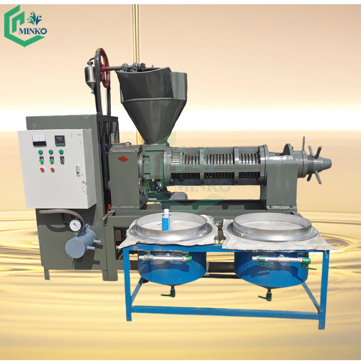 Peanut Palm Oil Production Line Cold Press Filter Oil Making Machine Price Zimbabwe