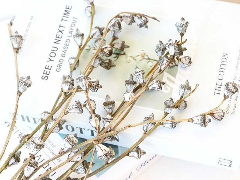 Plant Dry Eucalyptus Fruit Bouquet Wholesale Wreaths Natural Decorative Flowers Wedding Dried Eucalyptus Berry with Stem