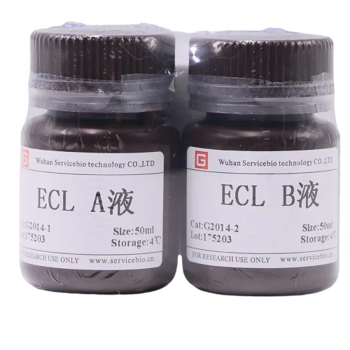 2*50ml ECL Chemiluminescence Kit for Protein Detection