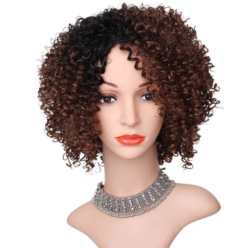 Mongolian Kinky Curly Human Hair Wigs 130% Density 13x4 13x6 Front Lace Raw Natural Color With Baby Hair Pre Plucked Wigs