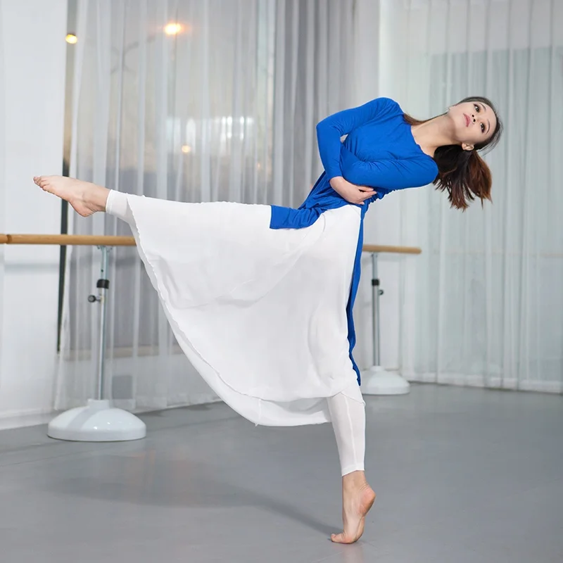Adult Fitness Body Shape Ballet Skirts Modern Dance Long Classical Dance Gauze Skirt For Women